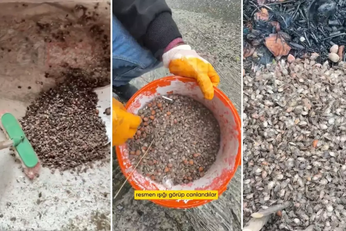 Türkiye\'nin öteki gündemi! \'\'Son virajdayız\'\' diyen vatandaştan endişelendiren sözler