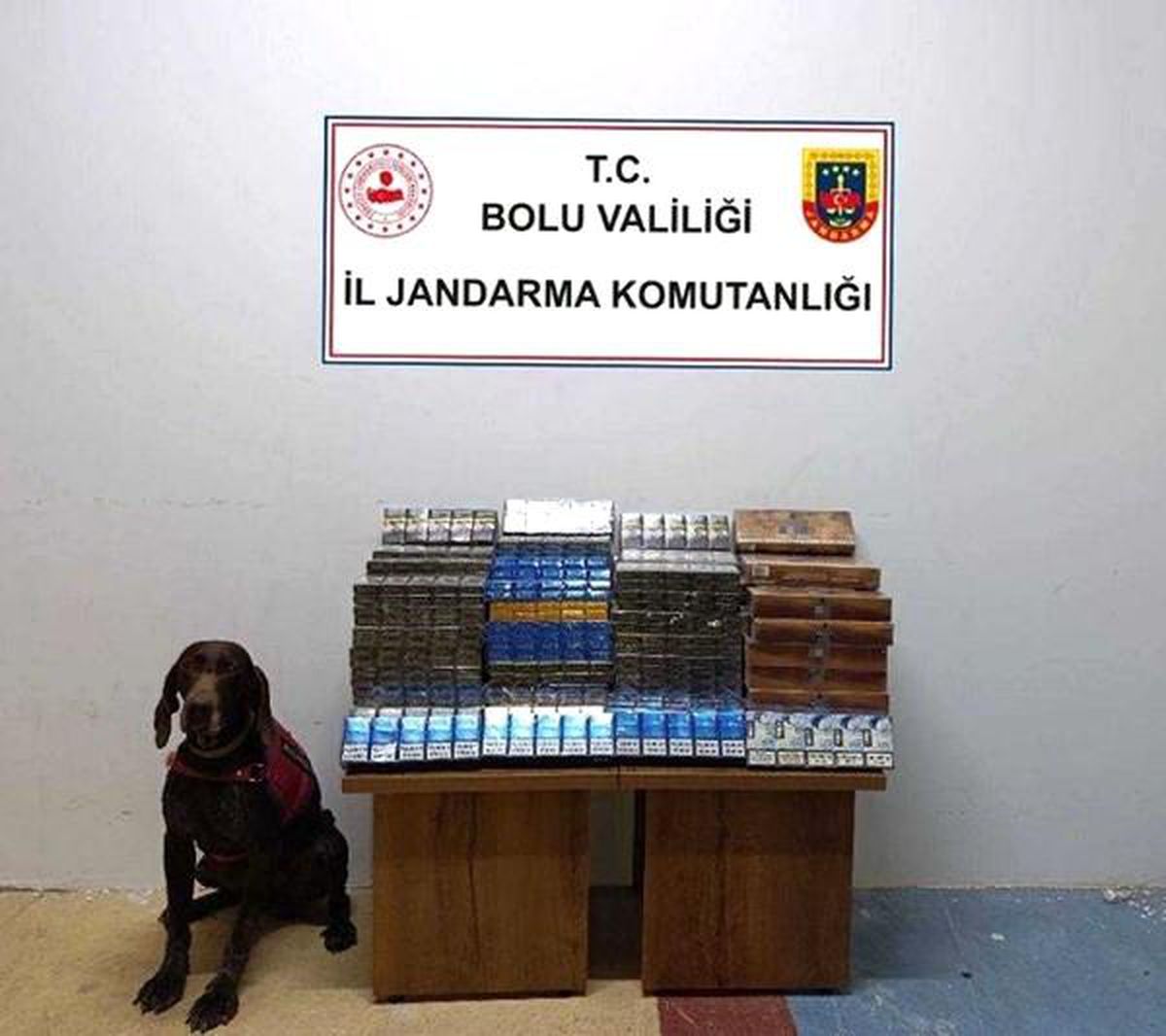 Bolu\'da Otobüste 1650 Paket Kaçak Sigara Ele Geçirildi