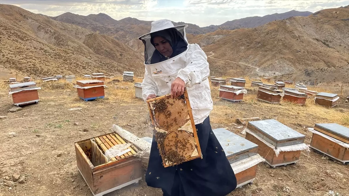 Kadın Arıcı Sunay Tokuş’un Başarısı