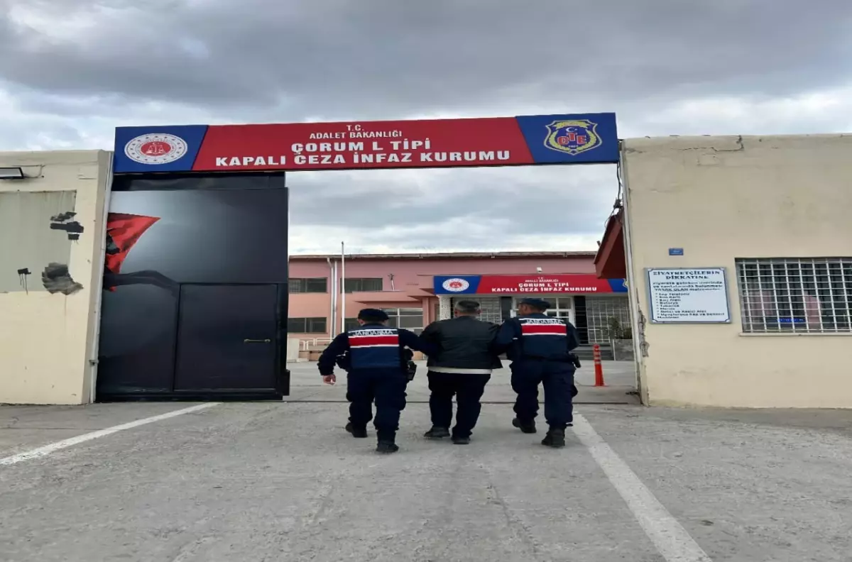 Çorum\'da Yangın Şüphelisi Tutuklandı