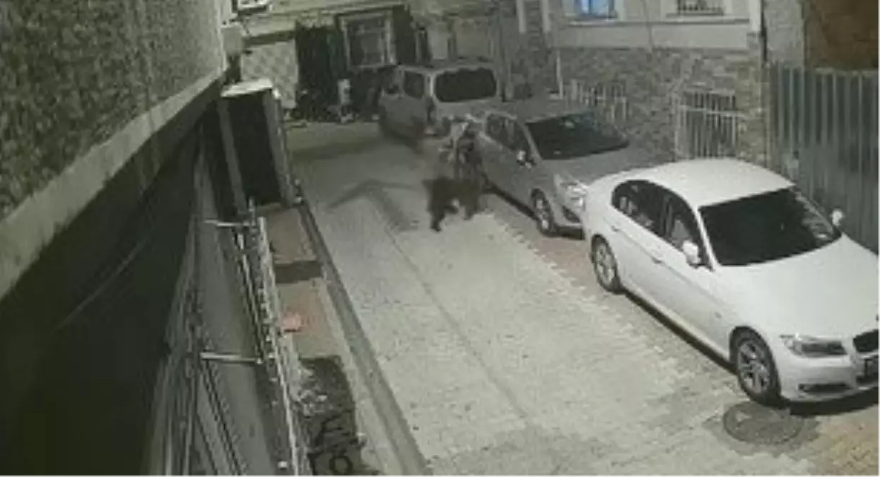 Fatih\'te Sokak Ortasında Şiddet