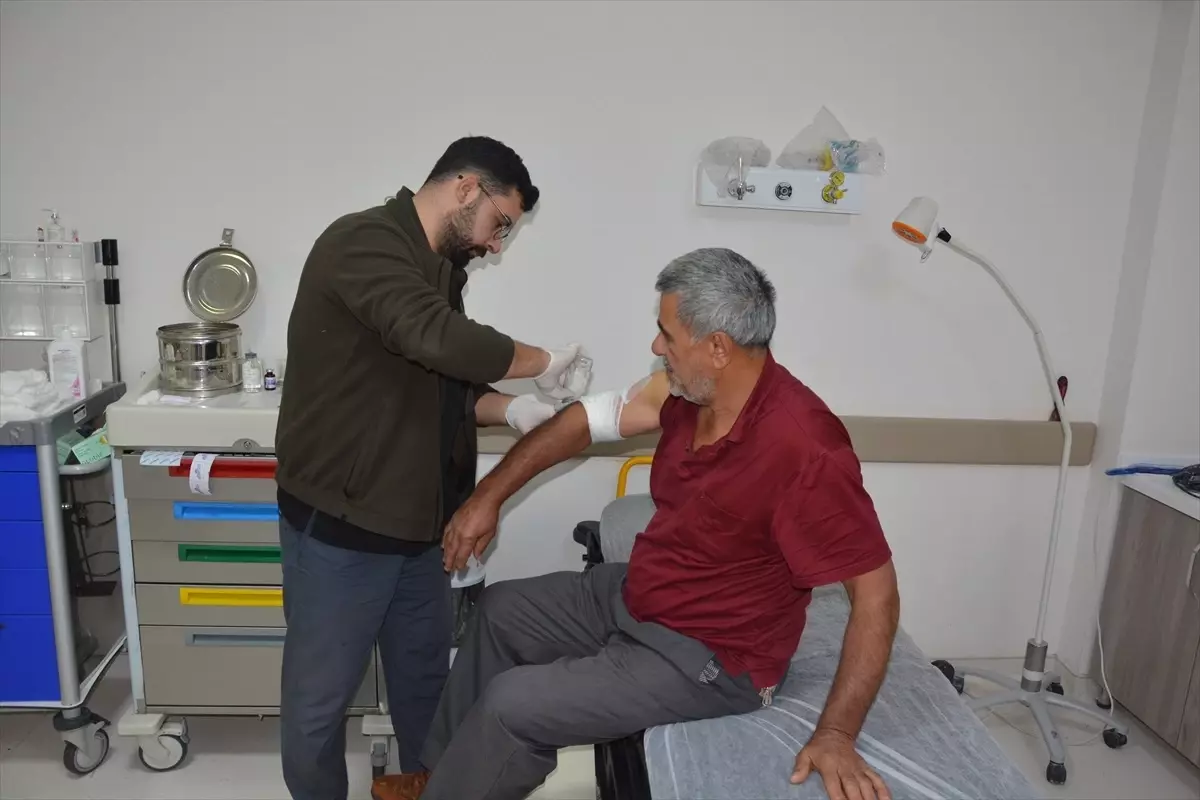 Kestane Toplarken Ayıdan Kaçan Çiftçi Yaralandı