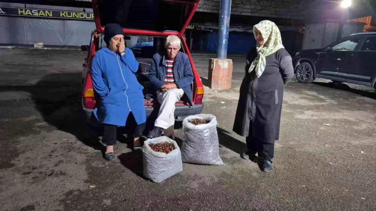 İki kişi 5 günde topladı, çuvalı 22 bin TL\'ye satıldı