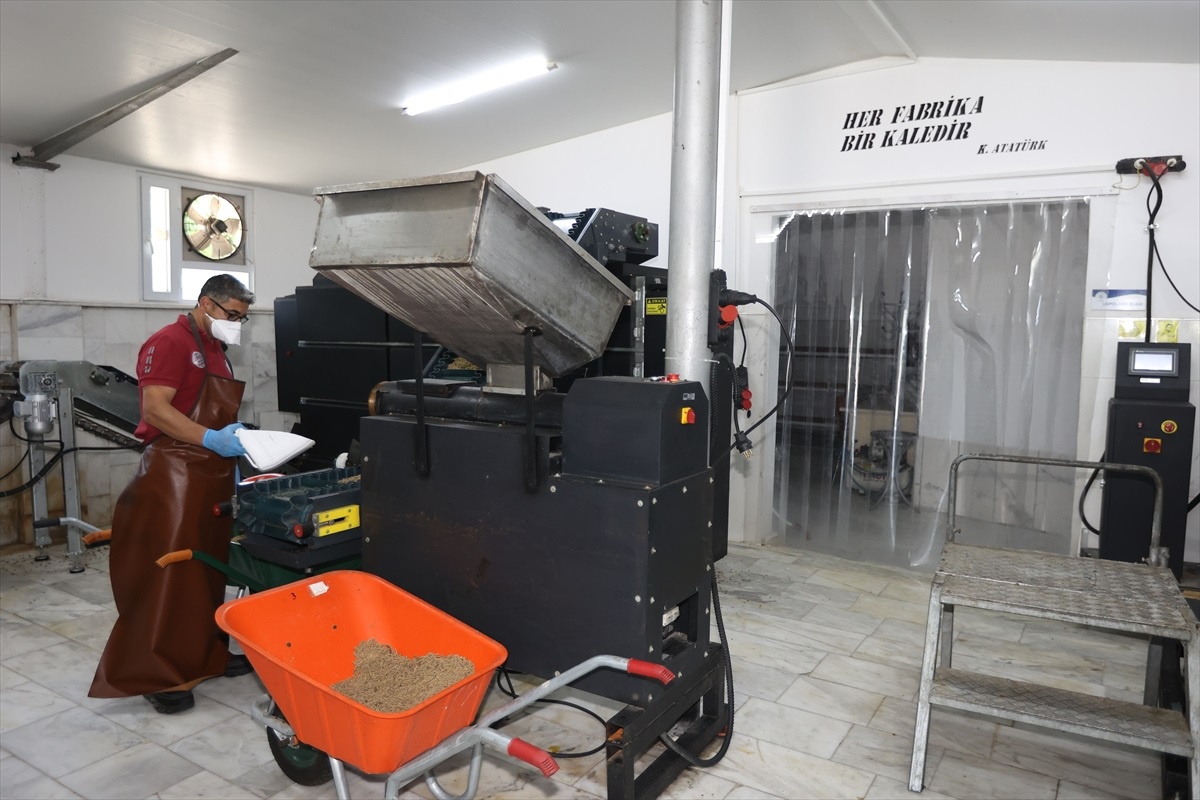 Muğla\'da Sokak Hayvanlarına 42 Ton Mama Üretildi
