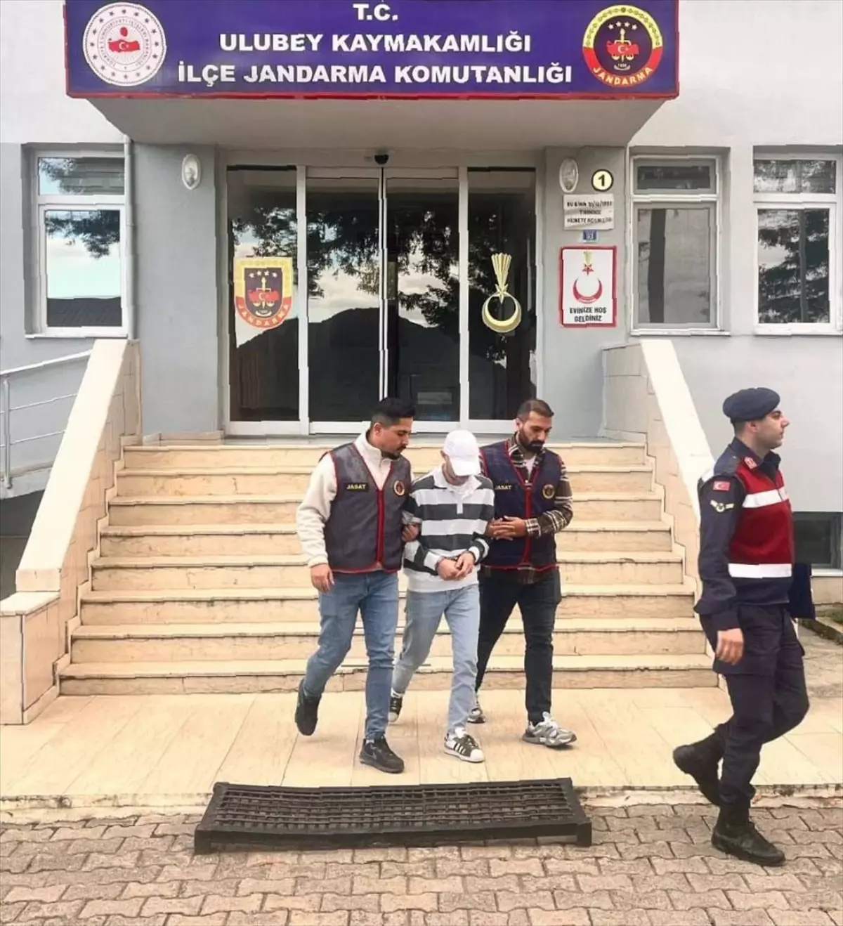Fındık Hırsızı Tutuklandı