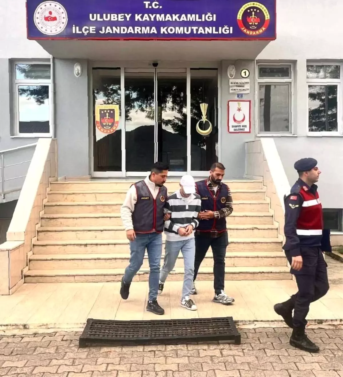 Fındık Hırsızı Tutuklandı