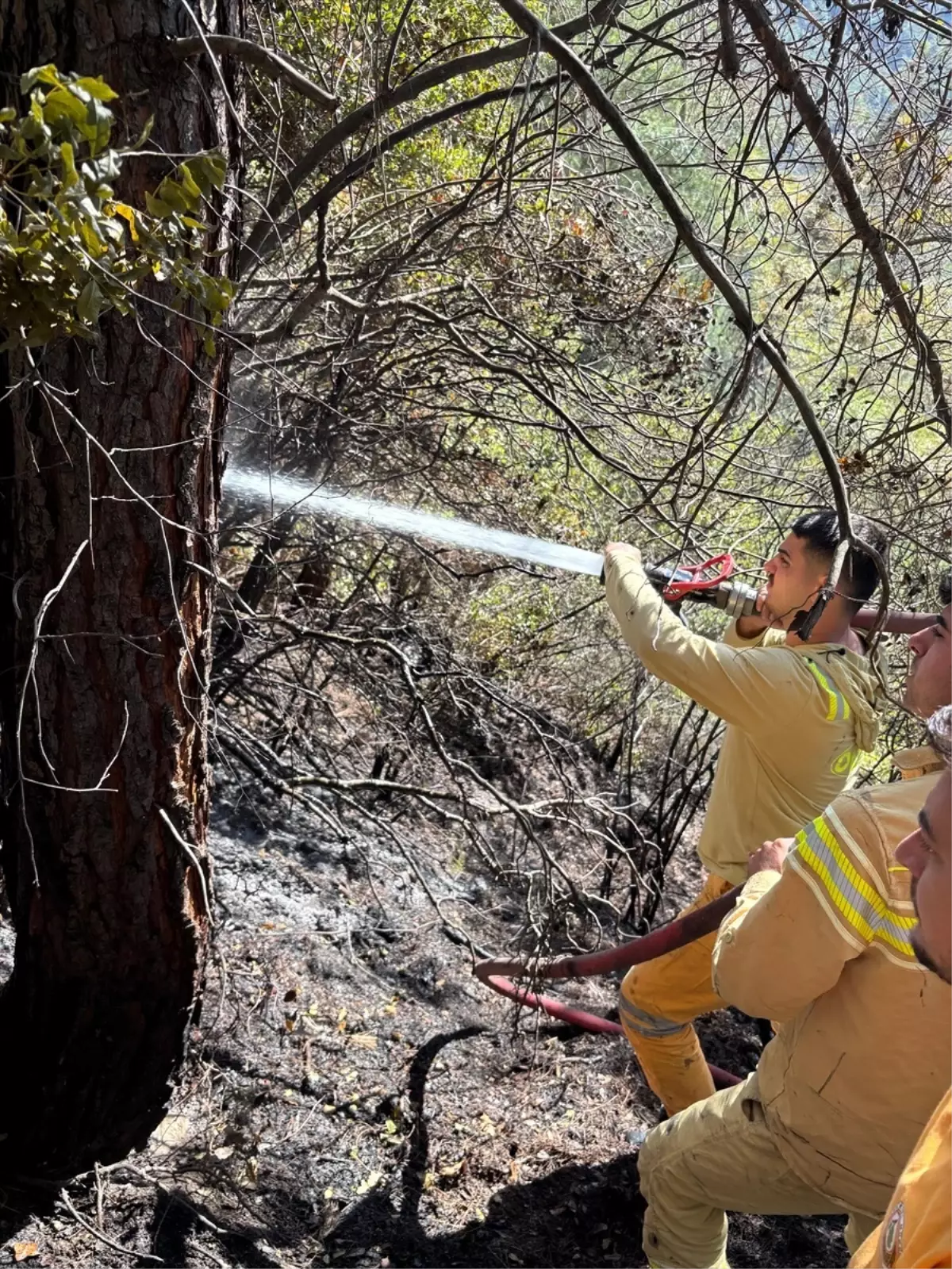 Osmaniye\'de örtü yangını söndürüldü