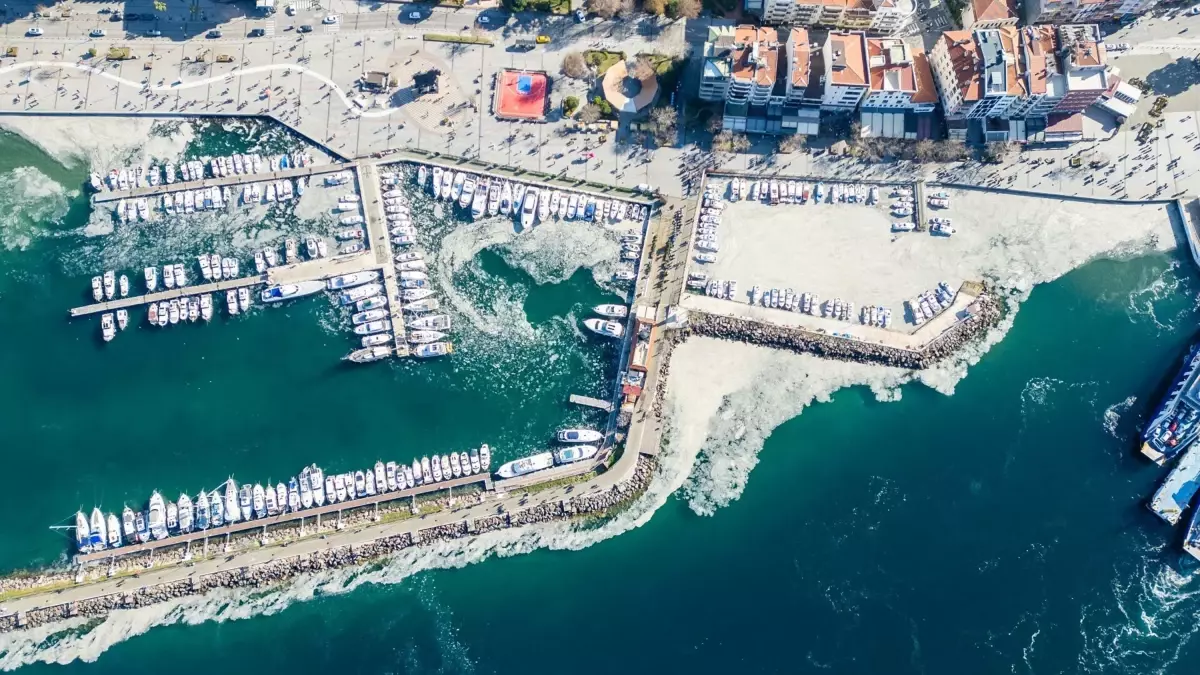 Marmara\'da Müsilaj tehdidi: Balık Stoku Kontrolü