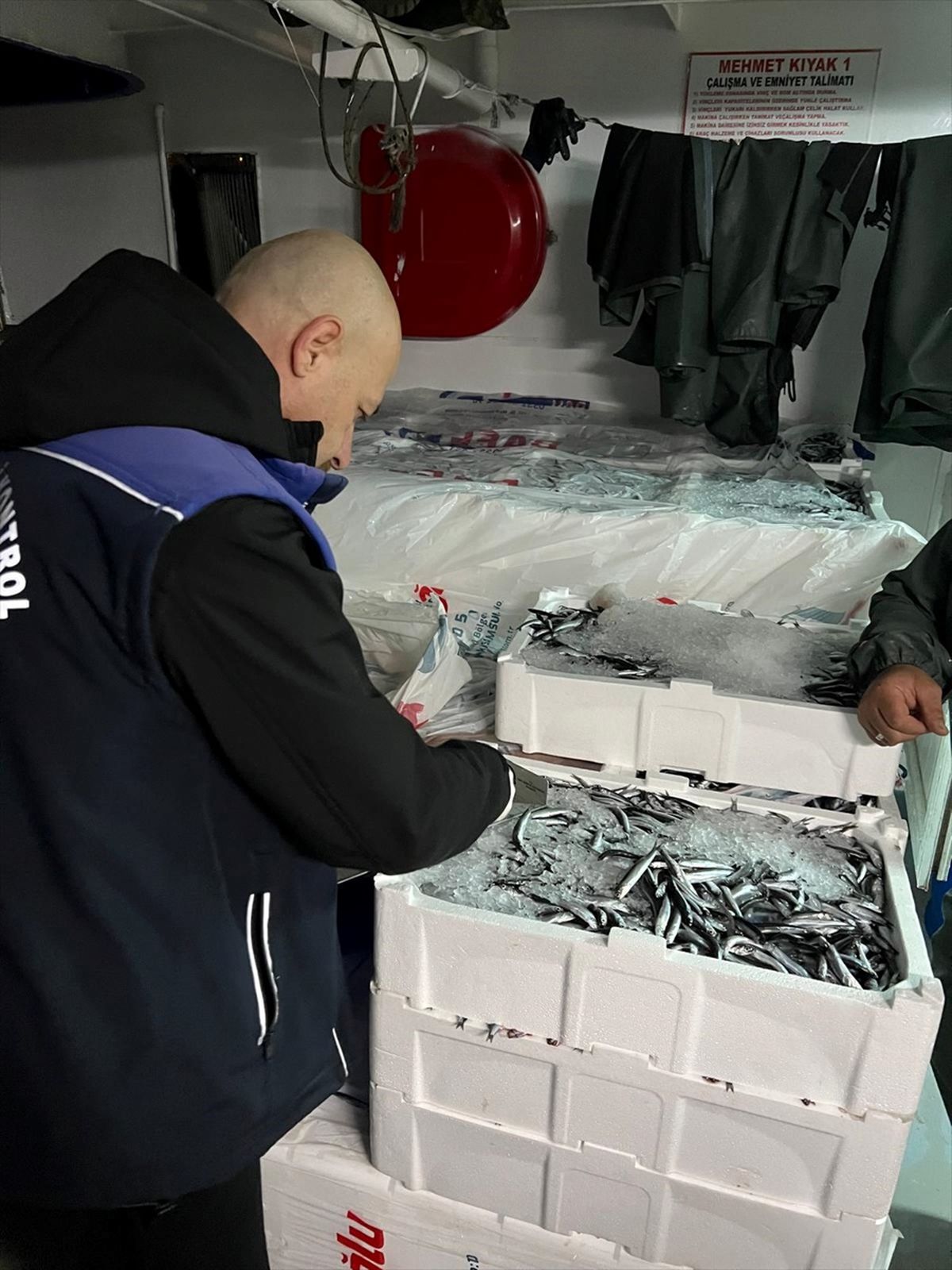 Samsun\'da Hamsi Avcılığında Kota Uygulaması
