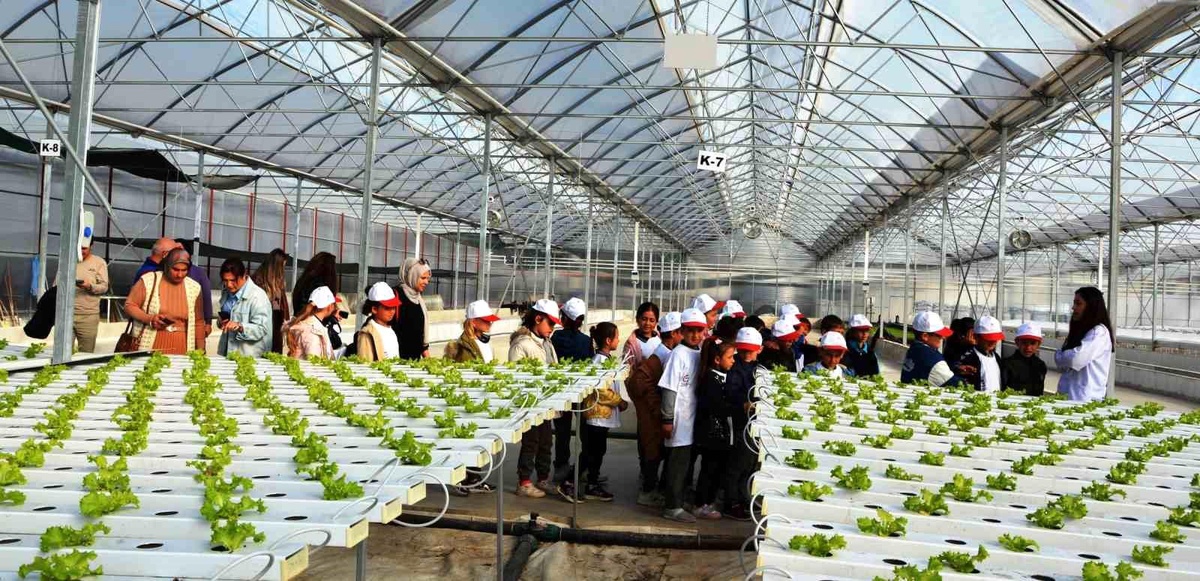 Lider Çocuk Tarım Kampı Samsun\'da Gerçekleşti