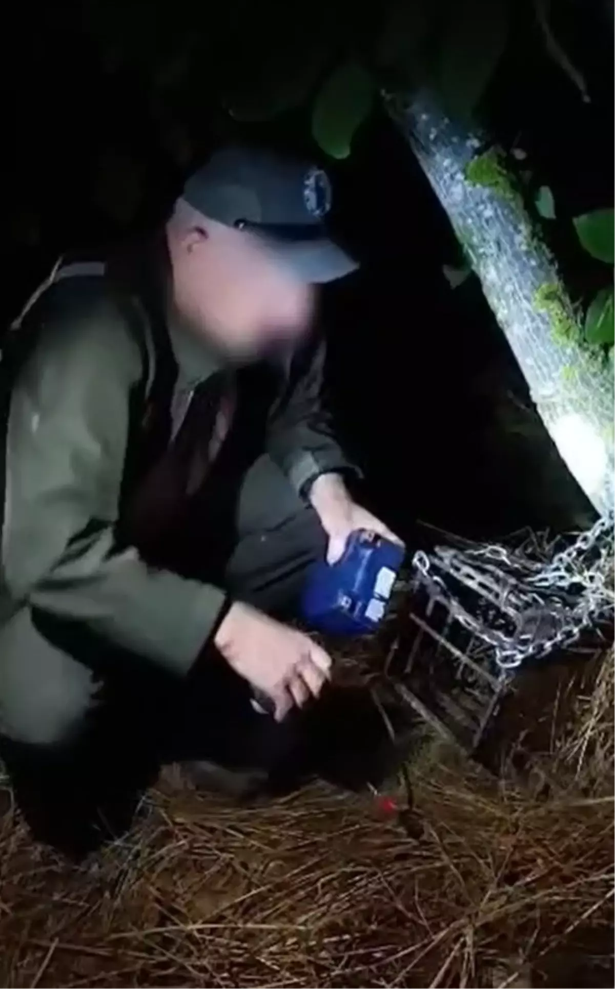 Bursa\'da Yaban Hayvanlarını Avlama Cihazları Ele Geçirildi