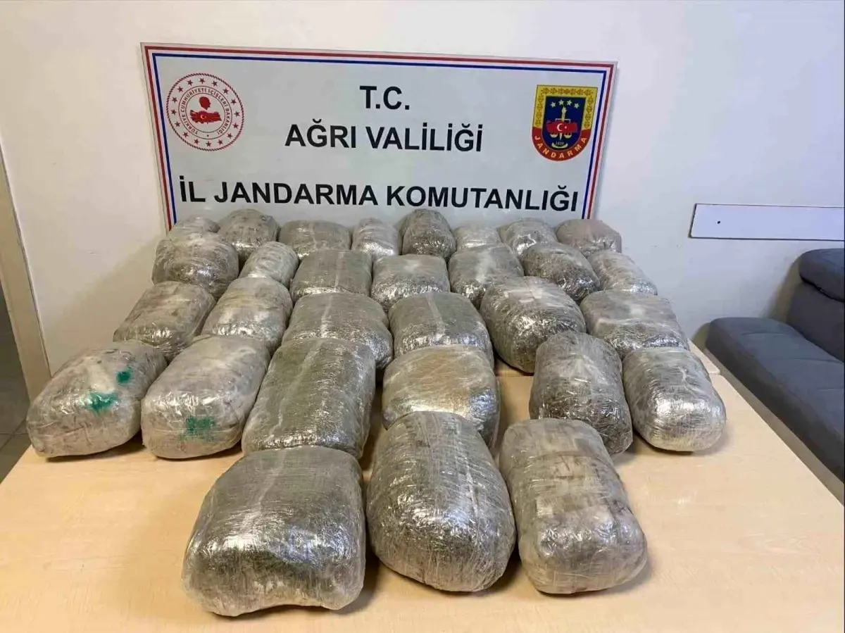 32 Kilogram Esrar Ele Geçirildi