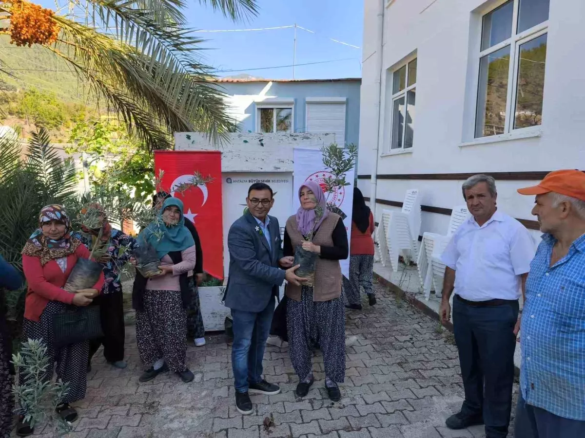 Kadın Çiftçilere Zeytin Fidanı Dağıtıldı