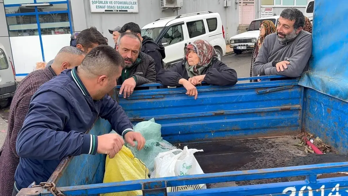 Alaplı Kestanesinde Rekolte Düşüşü ve Yüksek Fiyatlar