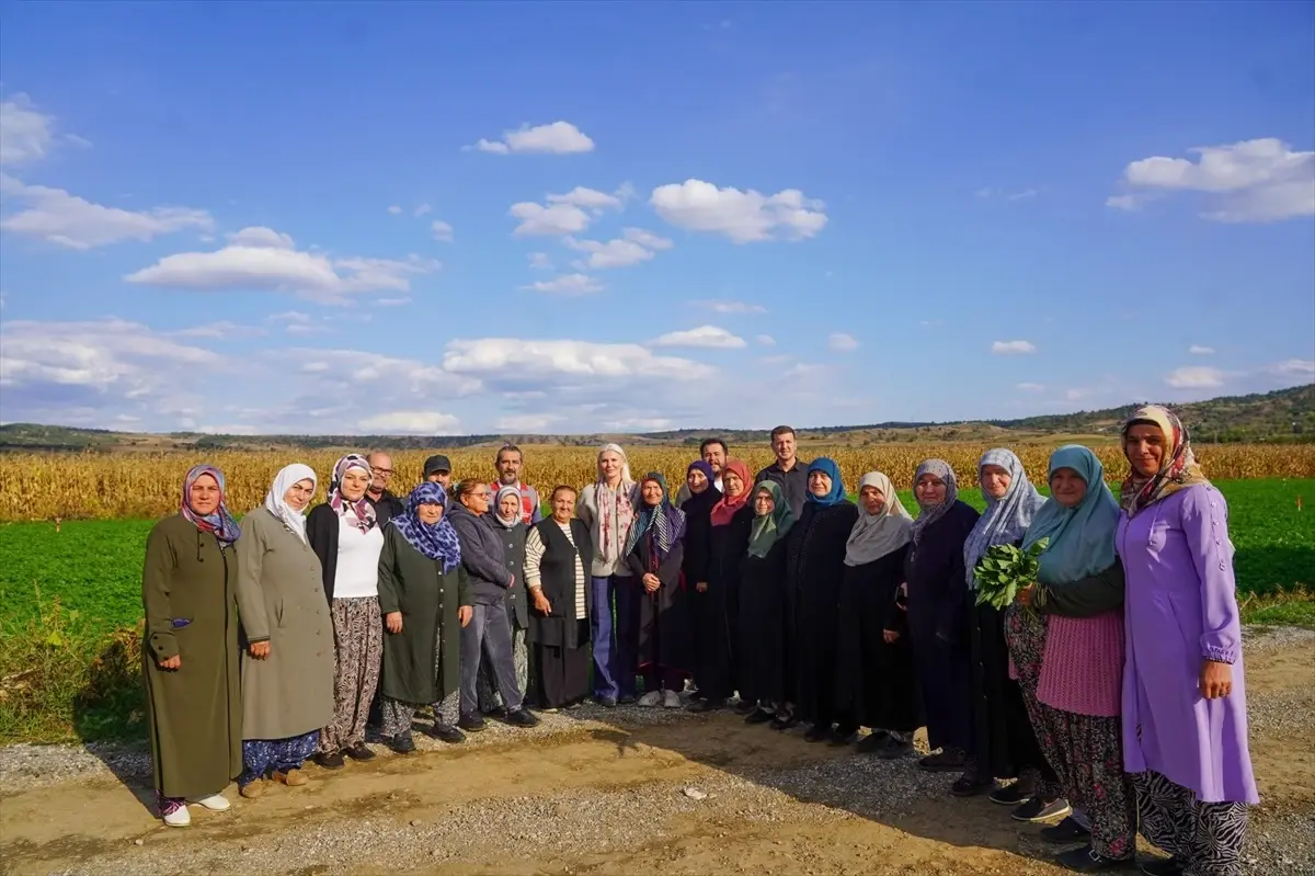 Kadın Çiftçiler Günü\'nde Bilecik\'te Hasat
