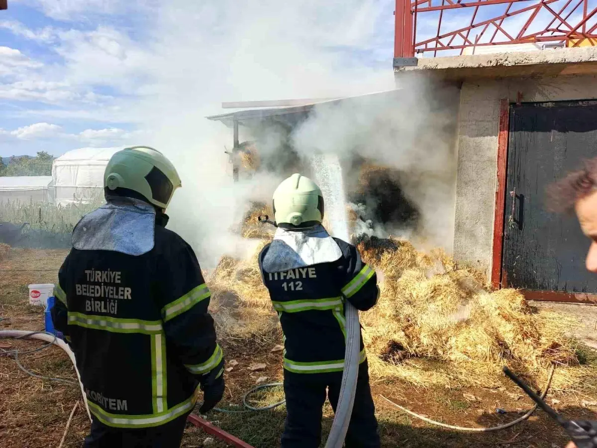 Bucak\'ta Ot Balyaları Yanı