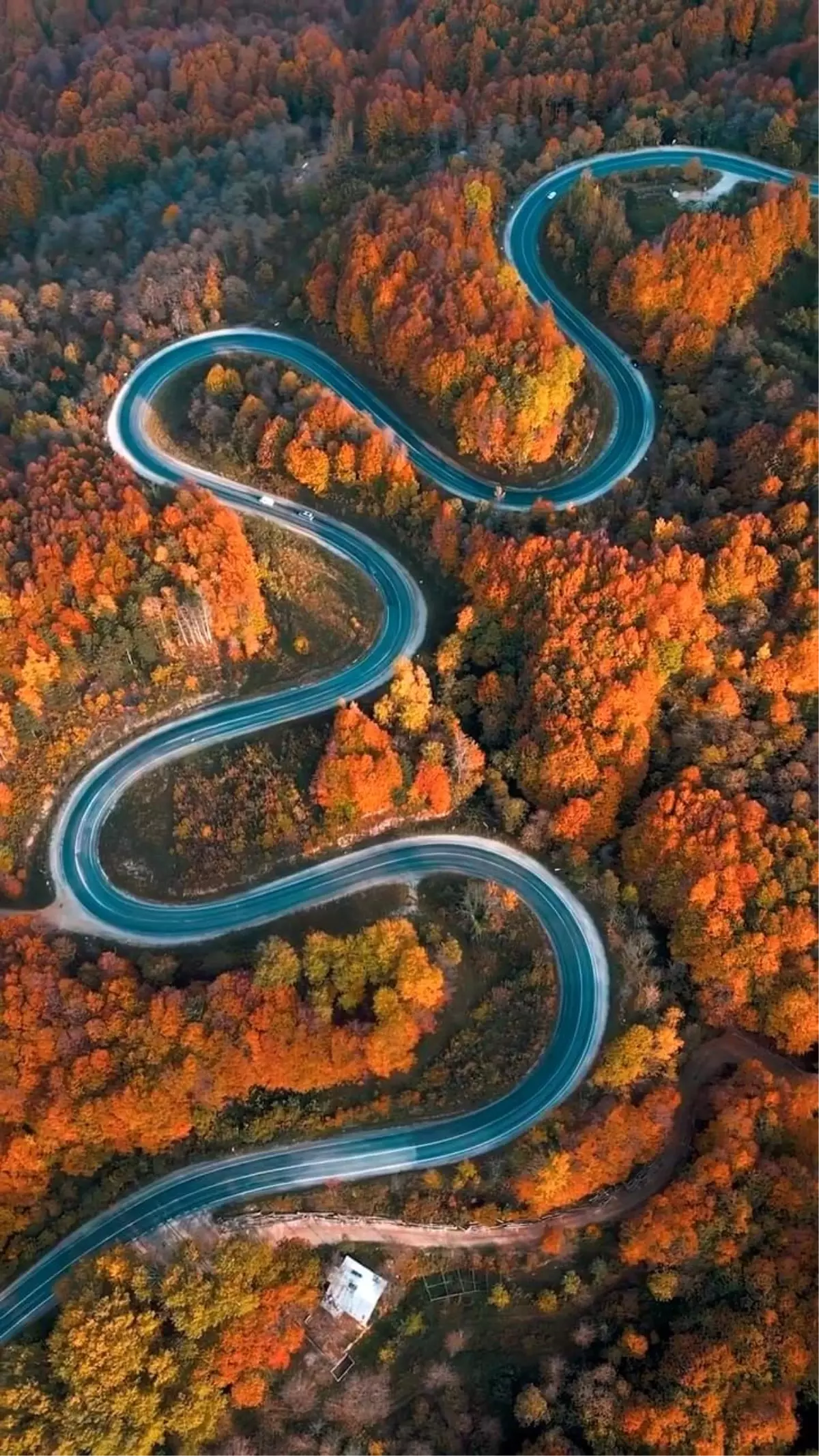 Sonbahar Renk Cümbüşü İnegöl-Domaniç Yolunda