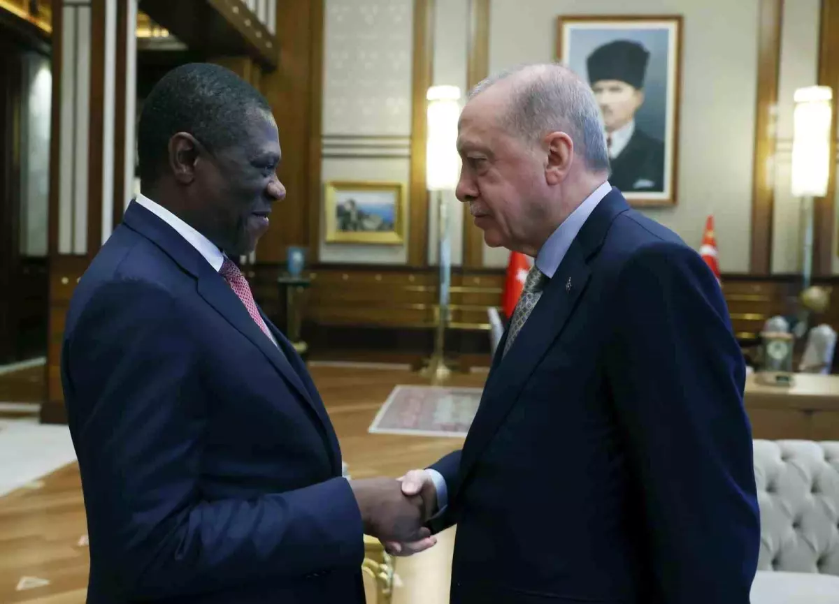 Erdoğan, Güney Afrika Cumhurbaşkanı Yardımcısı\'nı kabul etti