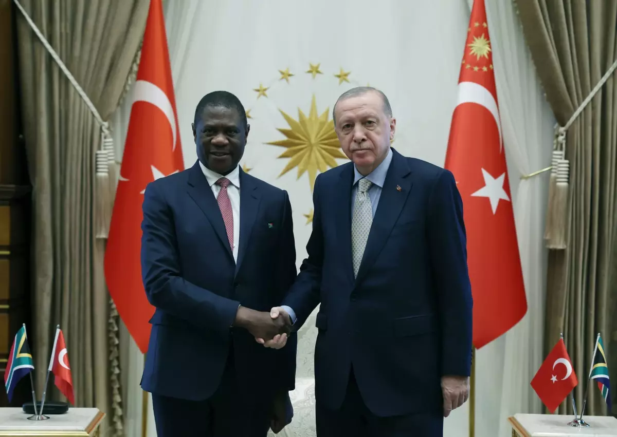Erdoğan, Güney Afrika Cumhurbaşkanı Yardımcısı\'nı kabul etti