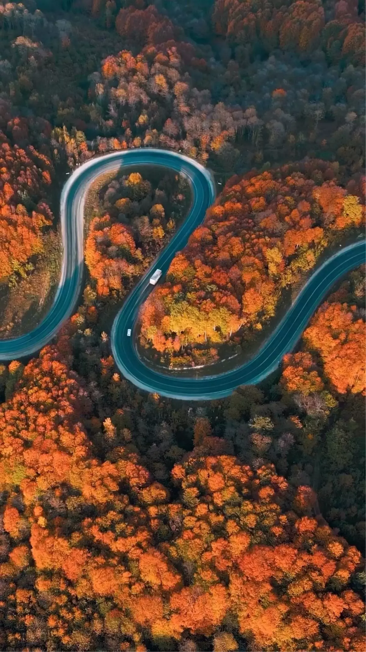 Sonbahar Renklerinde Kıvrımlı Yollar
