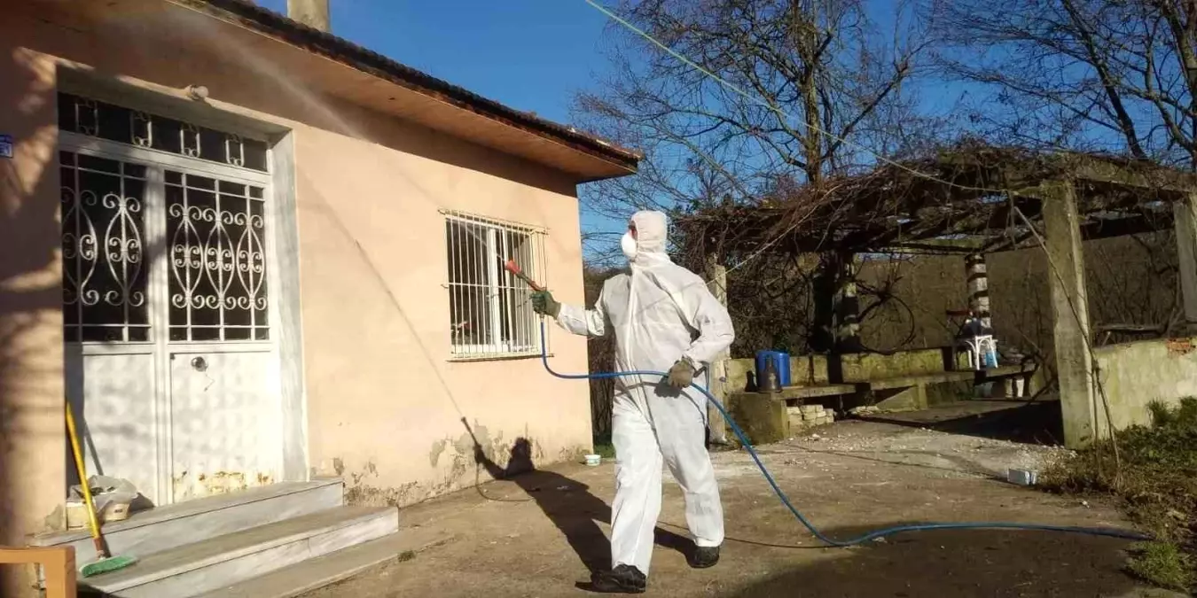 Düzce\'de Fındık İçin Kokarca Mücadelesi