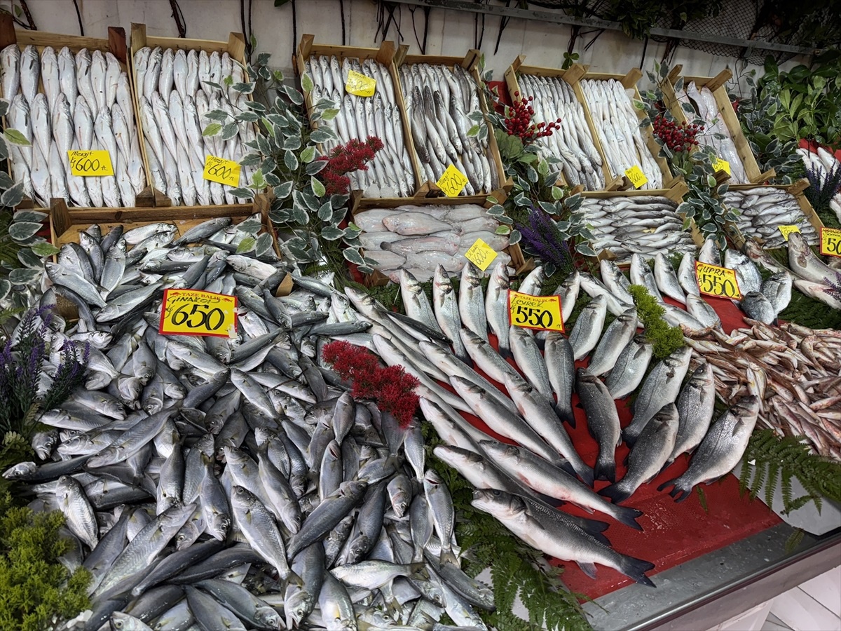 Edirne\'de Hamsi Fiyatı 300 TL