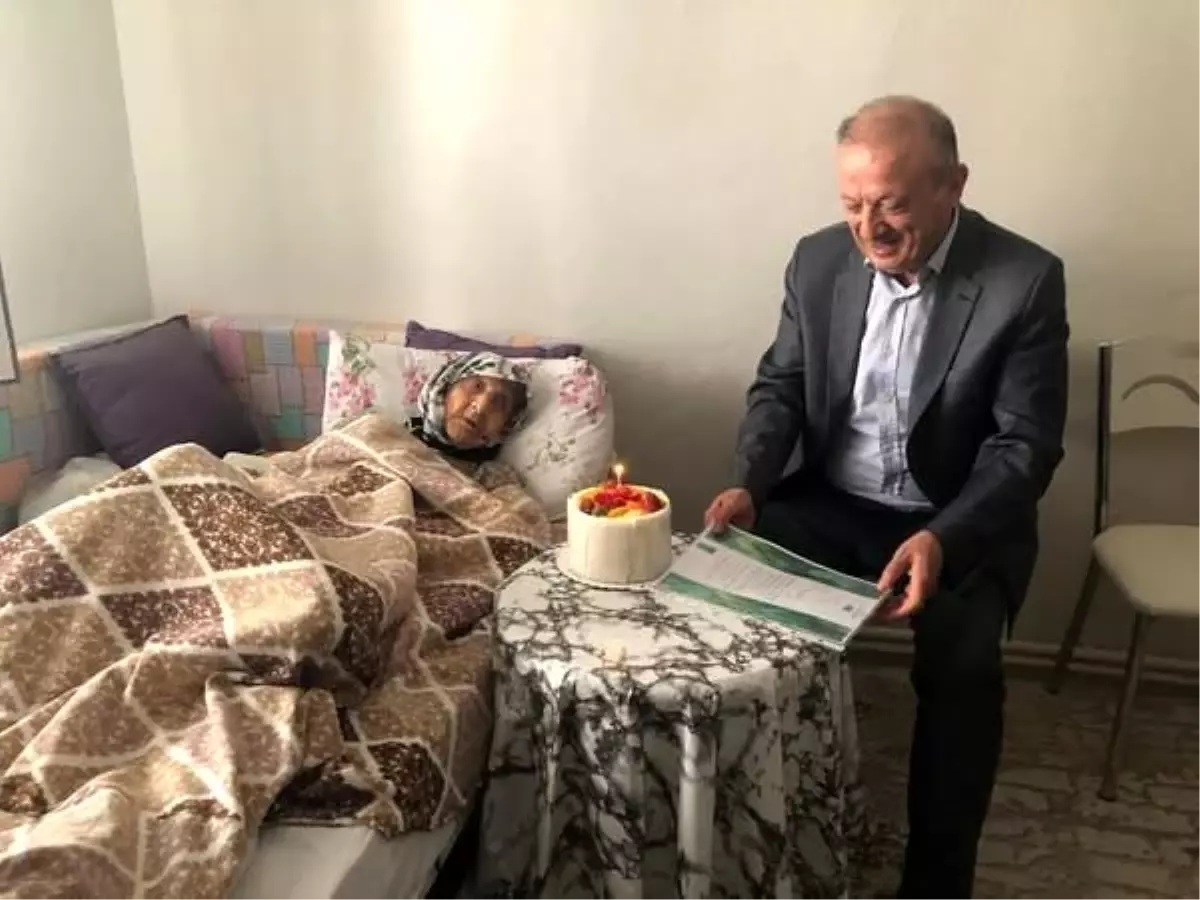 107 Yaşındaki Çınara Doğum Günü Kutlaması