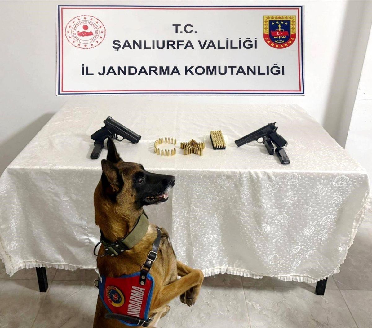 Şanlıurfa\'da Silah Kaçakçılığı Operasyonu