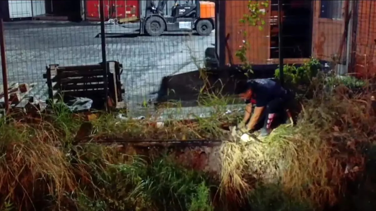 İskenderun\'da Su Kanalına Düşen Kedi Kurtarıldı