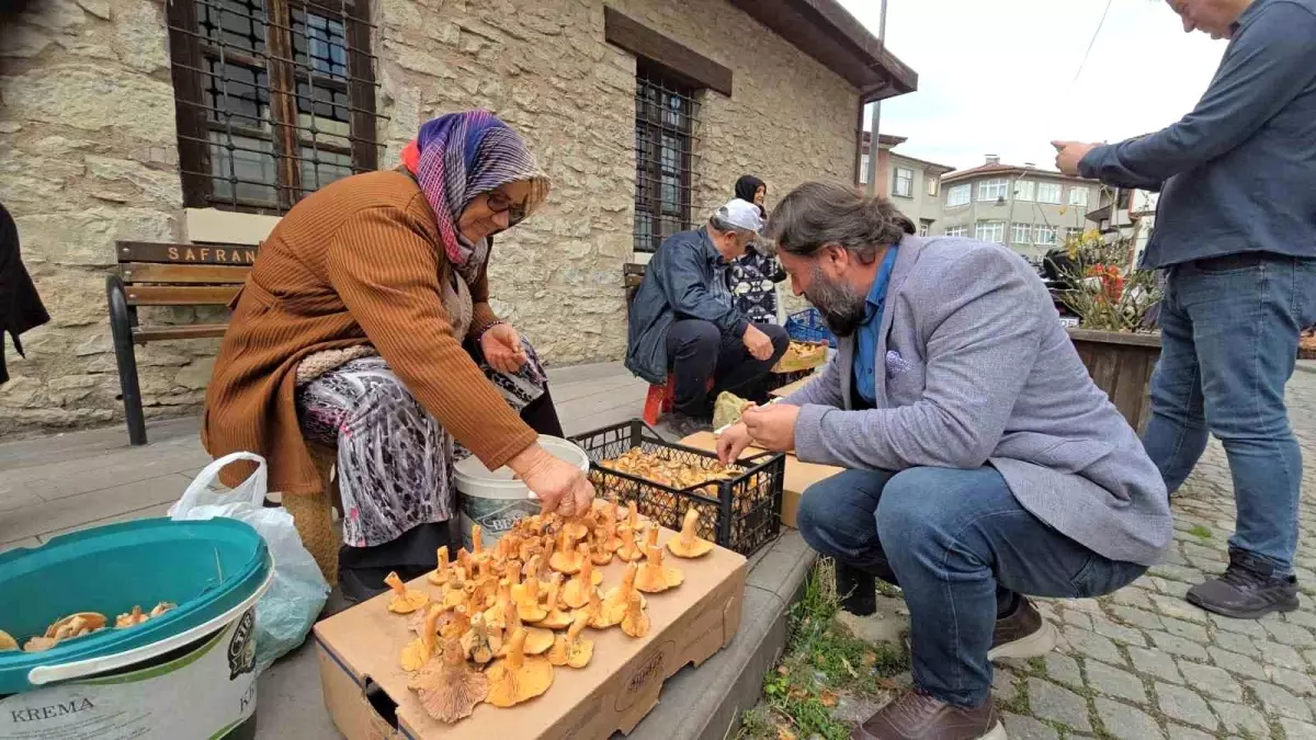 Safranbolu\'da Kanlıca Mantarına Yoğun İlgi