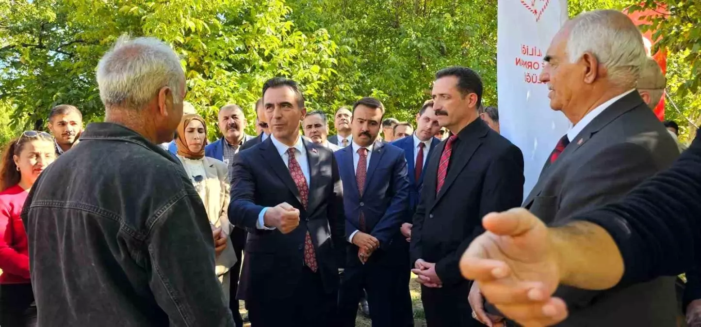 Bitlis Valisi Ahmet Karakaya, Adilcevaz\'da Ceviz Hasadına Katıldı