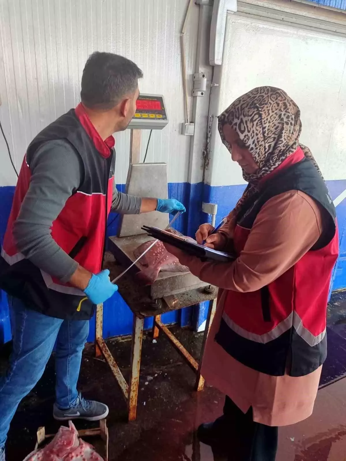 Zonguldak\'ta Su Ürünleri Denetimleri