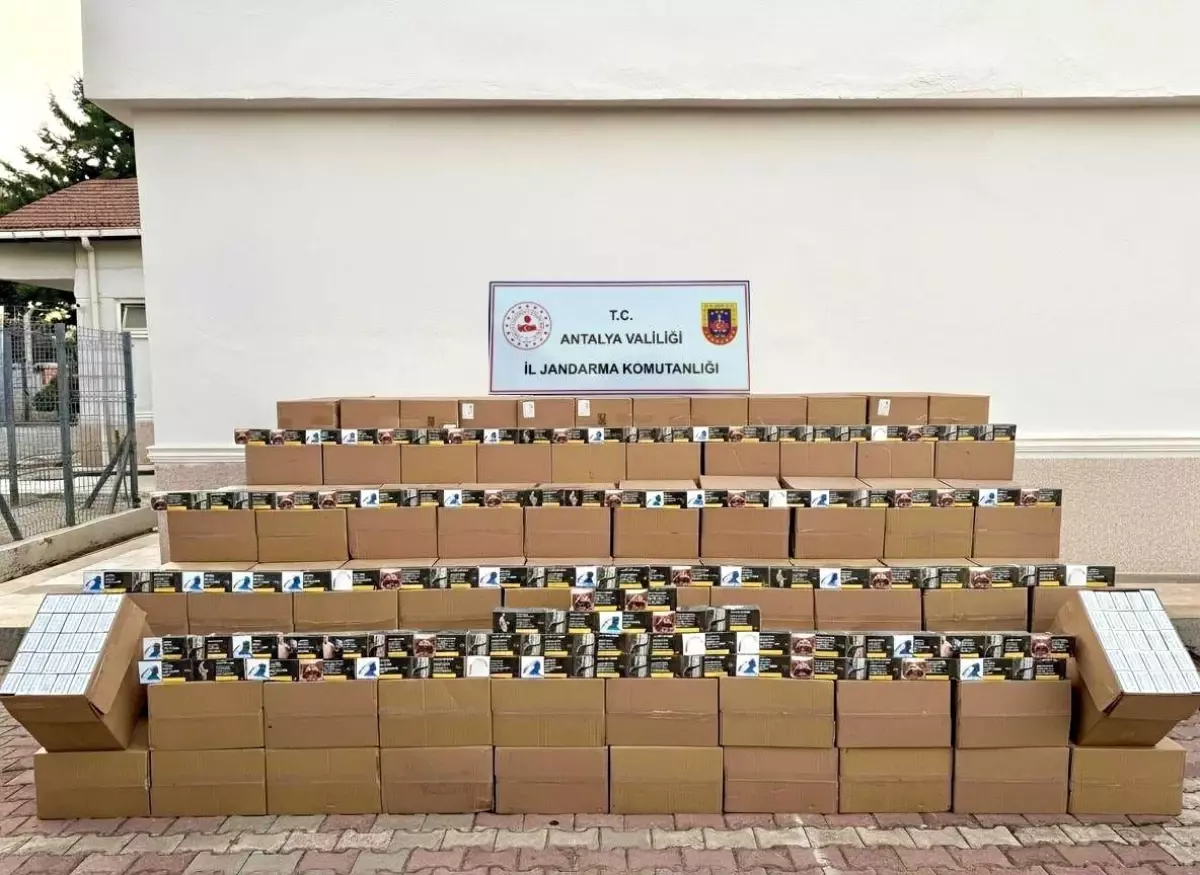 Kepez\'de Kaçak Tütün Operasyonu