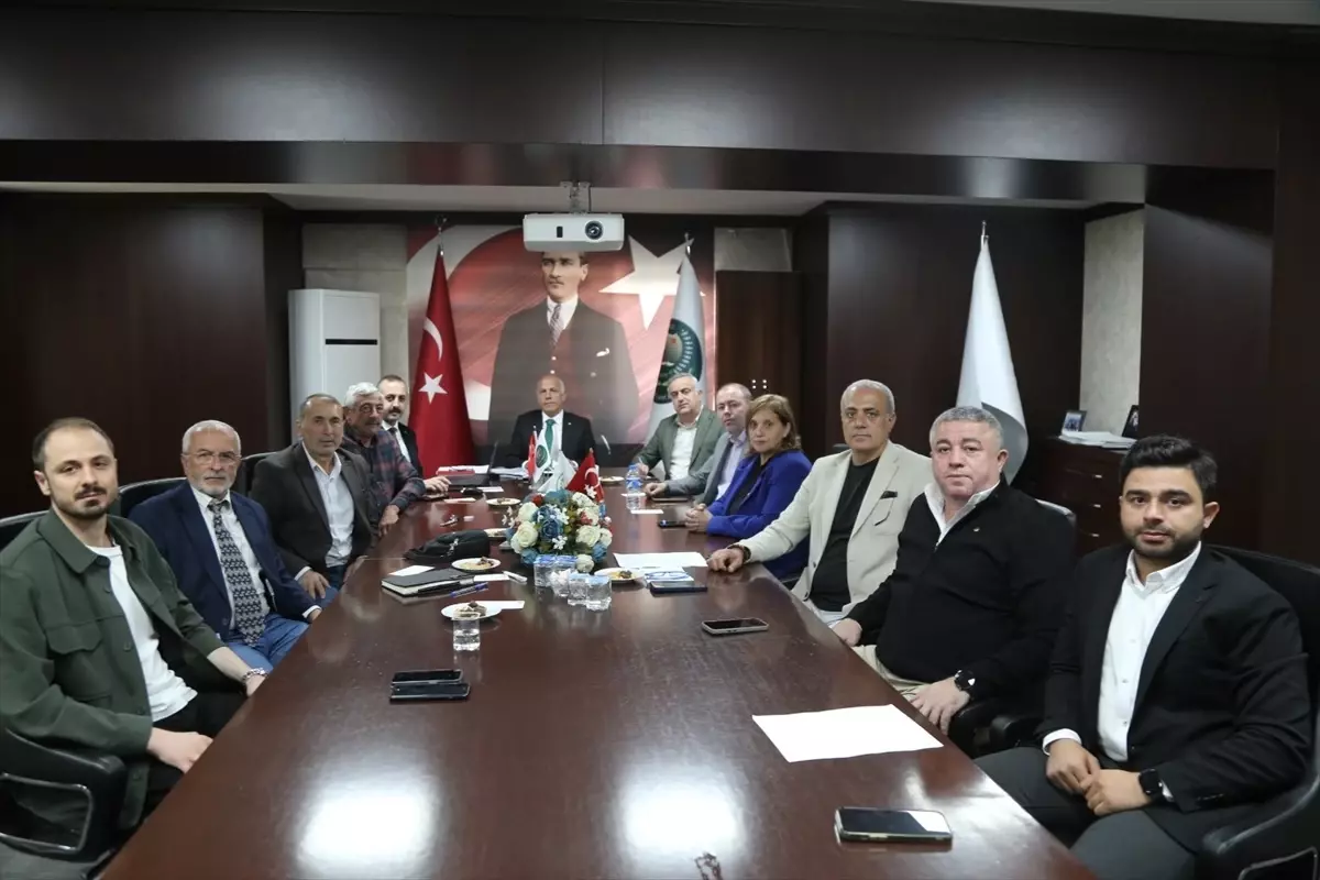 Artvin\'de Zeytin Fiyatları Belirlendi