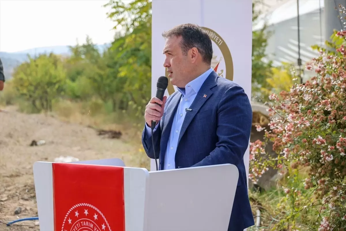 Bilecik\'te Çiftçilere Marul Fideleri Dağıtıldı