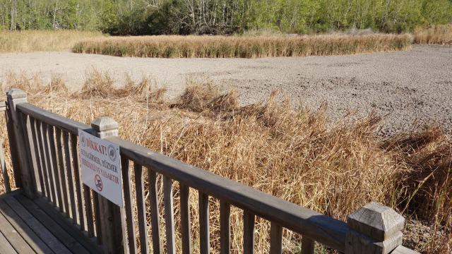 Böylesi ilk defa görülüyor! Göl ikiye bölündü