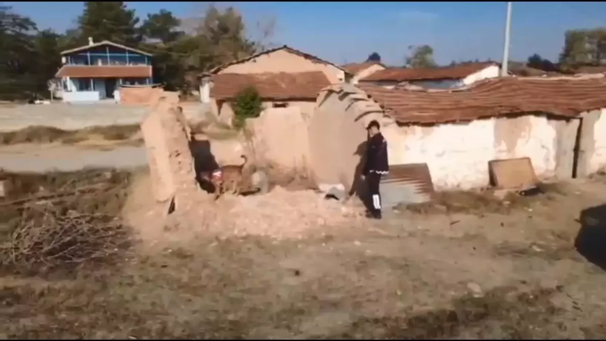 14 yıllık sır perdesi aralandı! Kan donduran gerçek ortaya çıktı