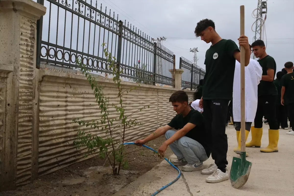 Tarım Lisesi Öğrencileri Fidan Dikti
