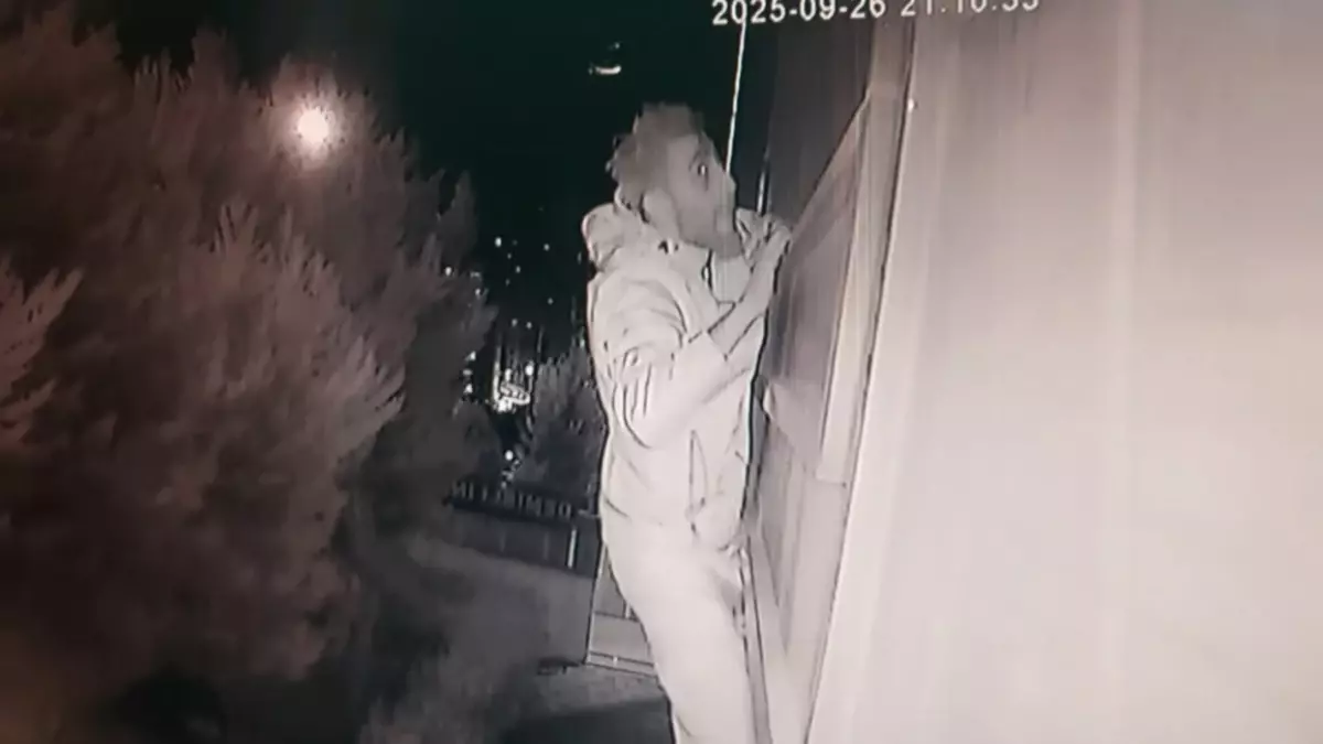 Lüks semtin kabusu oldular! Örümcek adam gibi tırmanıp milyonları çaldılar