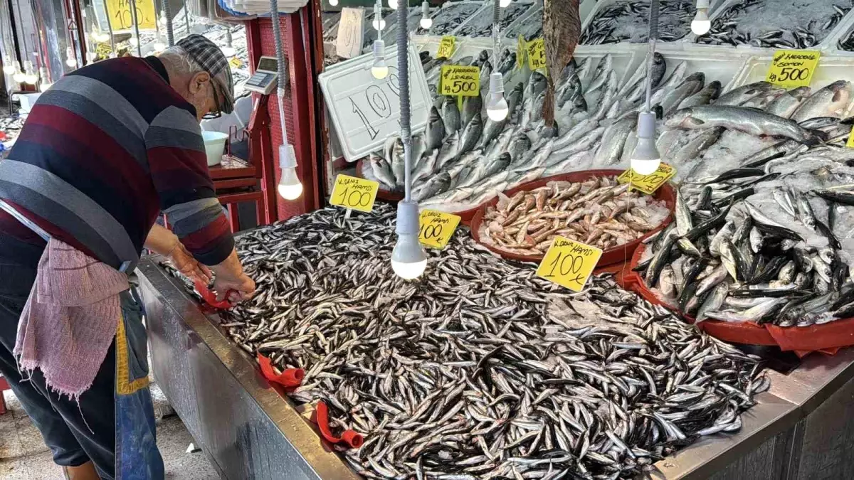 Karabük\'te Hamsi Bereketi: Kilo 100 TL