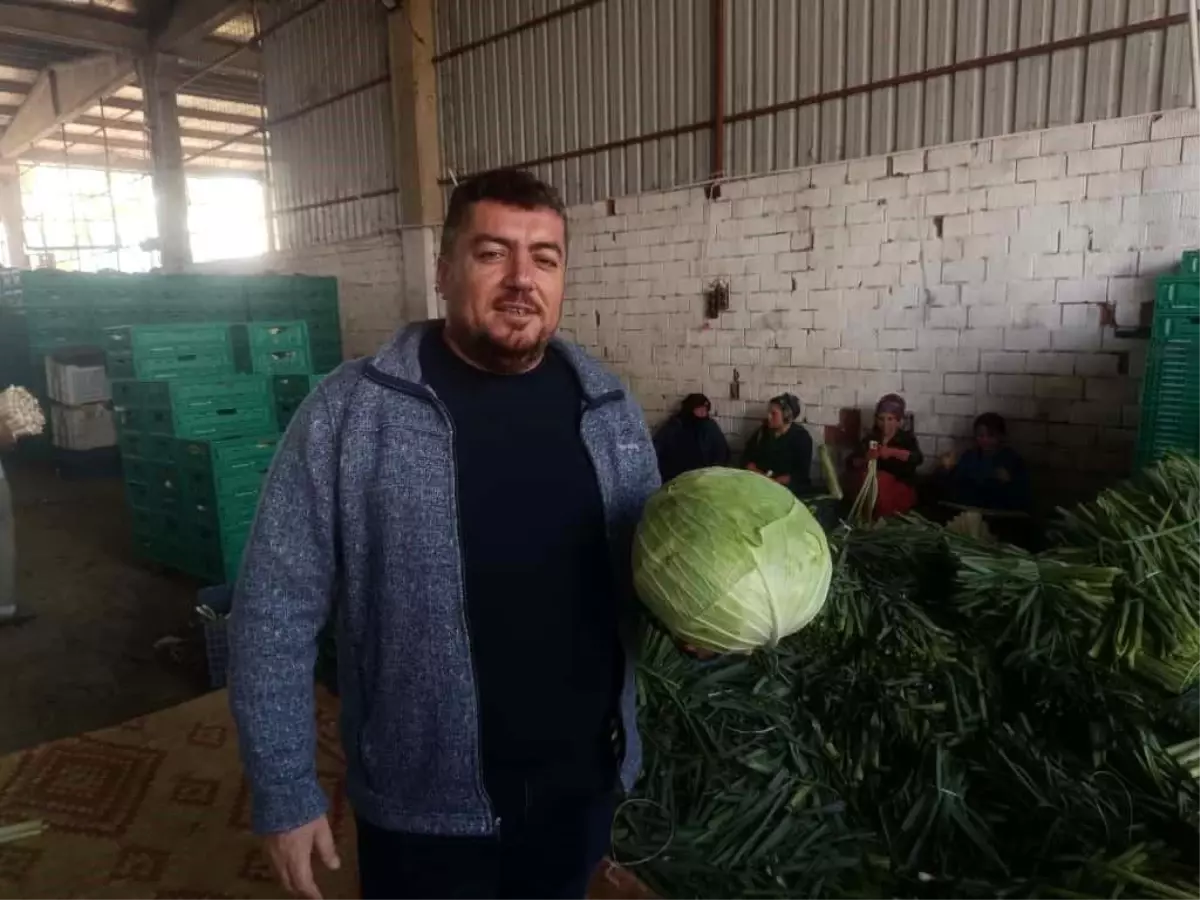 Yenişehir\'de Kışlık Hasat Başladı