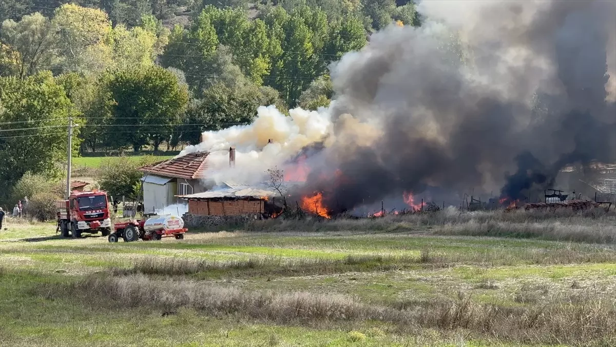 Domaniç\'te Yangın Paniği: Ev ve Araçlar Zarar Gördü