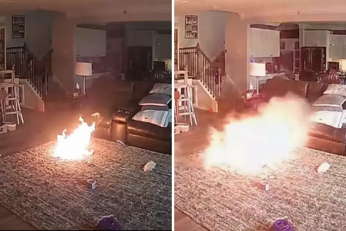 Lityum pili ısıran köpek evde büyük bir yangının çıkmasına sebep oldu