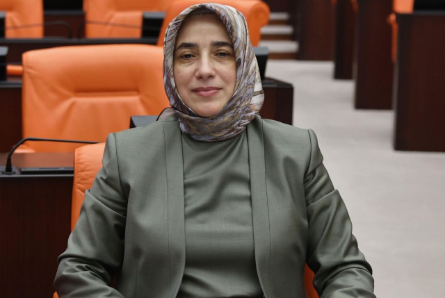 'Öcalan'a umut hakkı' polemiği! Özlem Zengin 'Talep olmadı' dedi, DEM'den anında yanıt geldi