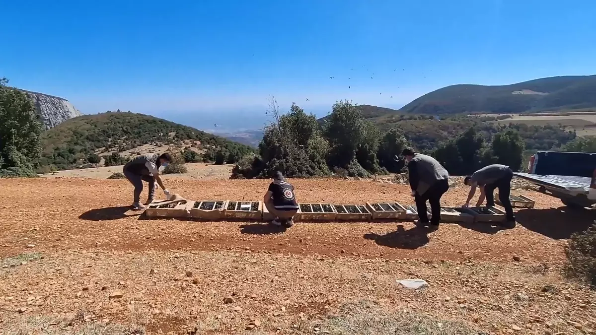 Yasa Dışı Kuş Kaçakçılığına 10.9 Milyon TL Ceza