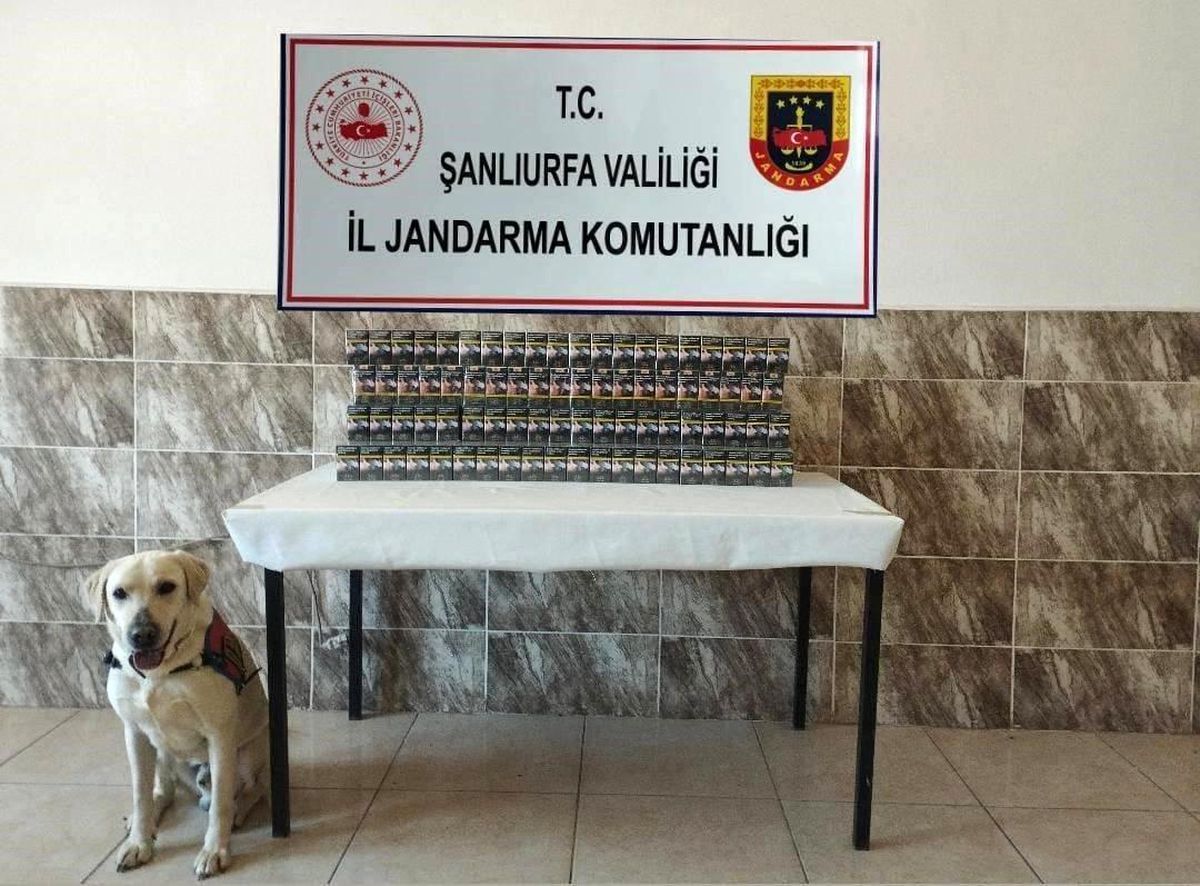 Şanlıurfa\'da Kaçak Sigara Operasyonu