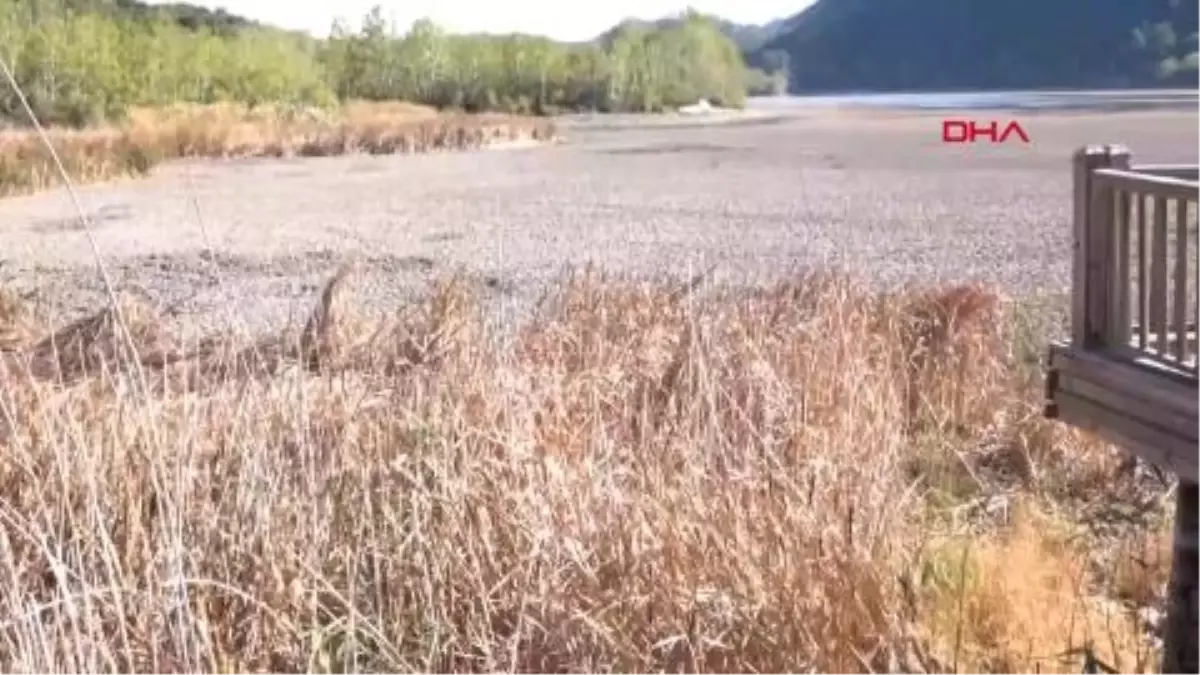 Böylesi ilk defa görülüyor! Göl ikiye bölündü