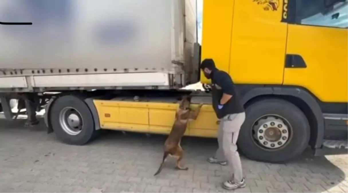Tosya\'da Tırda Metamfetamin ve Silah Ele Geçirildi