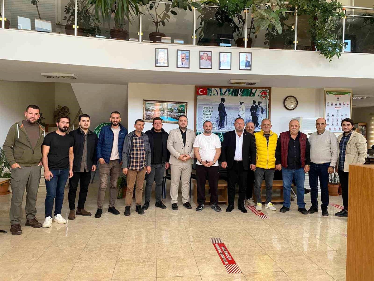 Zeytin Maliyeti Belirlendi