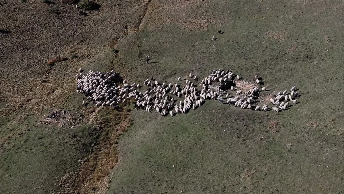 Zigana Dağı\'nda Sonbahar Pastoral Hayatı